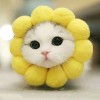 建筑猎头顾问汪工个人信息_三幸网