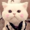 建筑猎头顾问李江个人信息_三幸网