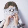 建筑猎头顾问郑工个人信息_三幸网