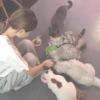 建筑猎头顾问文工个人信息_三幸网