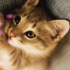 建筑猎头顾问王先生个人信息_三幸网