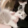 建筑猎头顾问王女士个人信息_三幸网