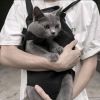 建筑猎头顾问牛工个人信息_三幸网