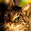 建筑猎头顾问张工个人信息_三幸网