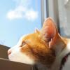 建筑猎头顾问李工个人信息_三幸网