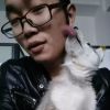 建筑猎头顾问陈扬志个人信息_三幸网