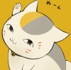 建筑猎头顾问小毕个人信息_三幸网