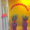 建筑猎头顾问胡工个人信息_三幸网