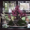 建筑猎头顾问王勇荣个人信息_三幸网
