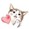 建筑猎头顾问创佳个人信息_三幸网