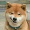 建筑猎头顾问郭川个人信息_三幸网