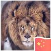 建筑猎头顾问侯钢先个人信息_三幸网
