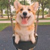 建筑猎头顾问郝惠翔个人信息_三幸网