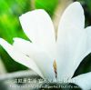 建筑猎头顾问肖老师个人信息_三幸网