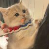 建筑猎头顾问徐个人信息_三幸网
