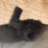 建筑猎头顾问沈经理个人信息_三幸网