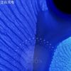 建筑猎头顾问李先生个人信息_三幸网