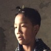 建筑猎头顾问刘依依个人信息_三幸网