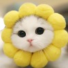 建筑猎头顾问朱渝个人信息_三幸网