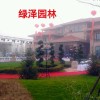 建筑猎头顾问王先生个人信息_三幸网