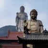 建筑猎头顾问陈中余个人信息_三幸网