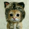 建筑猎头顾问赵萍个人信息_三幸网