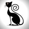 建筑猎头顾问彭工个人信息_三幸网