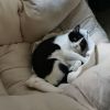 建筑猎头顾问周工个人信息_三幸网