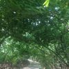 建筑猎头顾问张兵兵个人信息_三幸网