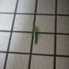 建筑猎头顾问黄工个人信息_三幸网