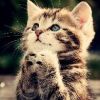 建筑猎头顾问杜女士个人信息_三幸网