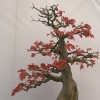 建筑猎头顾问刘汉兵个人信息_三幸网