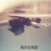 建筑猎头顾问小董个人信息_三幸网