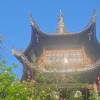 建筑猎头顾问黄嘉锐个人信息_三幸网