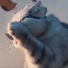 建筑猎头顾问刘恒个人信息_三幸网