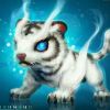 建筑猎头顾问何德轩个人信息_三幸网