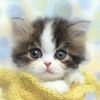 建筑猎头顾问钟敏个人信息_三幸网
