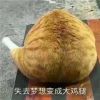 建筑猎头顾问李凯文个人信息_三幸网