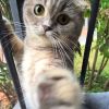 建筑猎头顾问饶工个人信息_三幸网