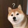 建筑猎头顾问王建光个人信息_三幸网