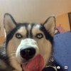 建筑猎头顾问赖君个人信息_三幸网