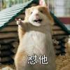 建筑猎头顾问刘昊个人信息_三幸网