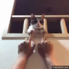 建筑猎头顾问后先生个人信息_三幸网
