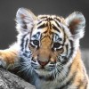 建筑猎头顾问于工个人信息_三幸网