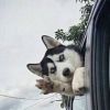 建筑猎头顾问张三个人信息_三幸网