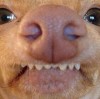 建筑猎头顾问李庭云个人信息_三幸网