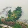 建筑猎头顾问匿名个人信息_三幸网