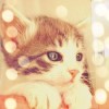 建筑猎头顾问周宇个人信息_三幸网