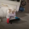 建筑猎头顾问小马0115个人信息_三幸网