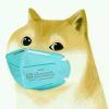 建筑猎头顾问胡喜昕个人信息_三幸网